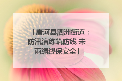 唐河县泗洲街道：防汛演练筑防线 未雨绸缪保安全