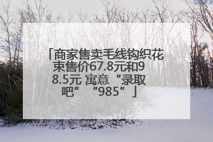 商家售卖毛线钩织花束售价67.8元和98.5元 寓意“录取吧”“985”