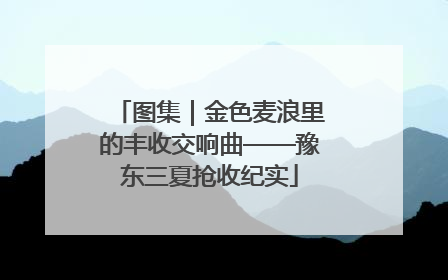 图集｜金色麦浪里的丰收交响曲——豫东三夏抢收纪实