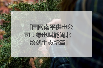 国网南平供电公司：绿电赋能闽北 绘就生态新篇