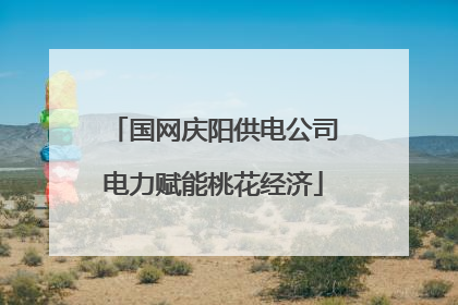 国网庆阳供电公司电力赋能桃花经济