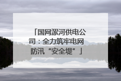 国网漯河供电公司：全力筑牢电网防汛“安全堤”
