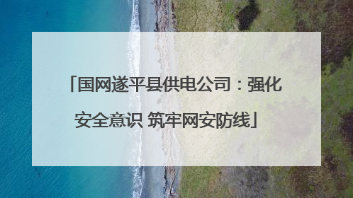 国网遂平县供电公司：强化安全意识 筑牢网安防线