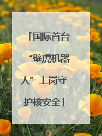 国际首台“壁虎机器人”上岗守护核安全