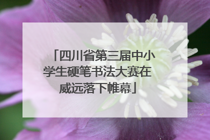 四川省第三届中小学生硬笔书法大赛在威远落下帷幕