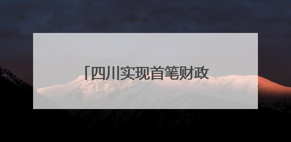 四川实现首笔财政电子票据跨省报销