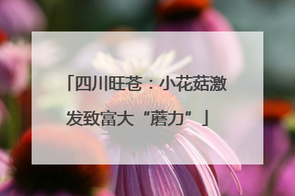 四川旺苍：小花菇激发致富大“蘑力”