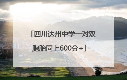 四川达州中学一对双胞胎同上600分+
