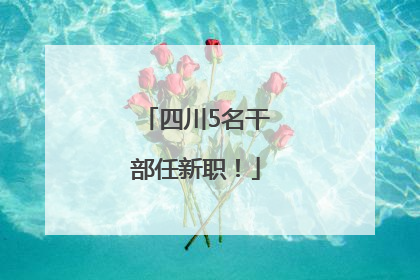 四川5名干部任新职！