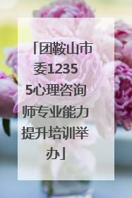 团鞍山市委12355心理咨询师专业能力提升培训举办