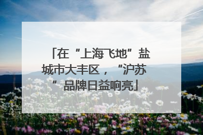 在“上海飞地”盐城市大丰区，“沪苏”品牌日益响亮