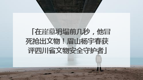 在崖墓坍塌前几秒，他冒死抢出文物！眉山杨宇春获评四川省文物安全守护者