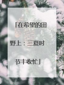 在希望的田野上：三夏时节丰收忙
