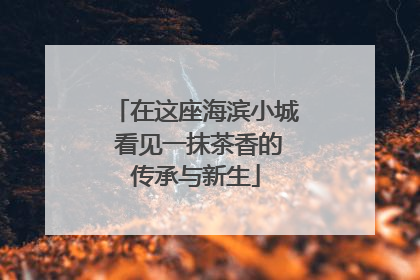在这座海滨小城 看见一抹茶香的传承与新生