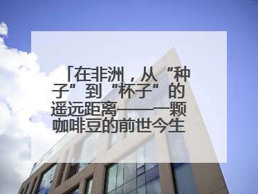 在非洲，从“种子”到“杯子”的遥远距离——一颗咖啡豆的前世今生（三）