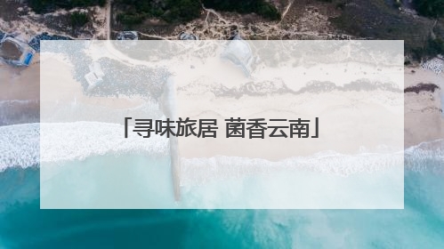 寻味旅居 菌香云南