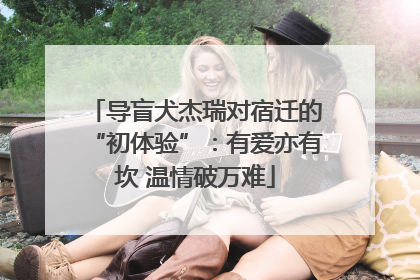 导盲犬杰瑞对宿迁的“初体验”：有爱亦有坎 温情破万难