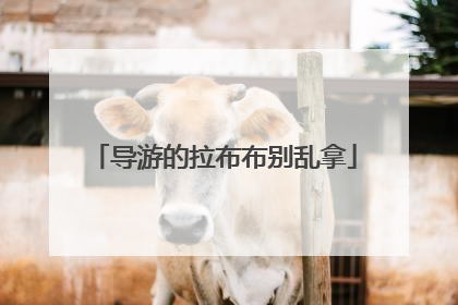 导游的拉布布别乱拿
