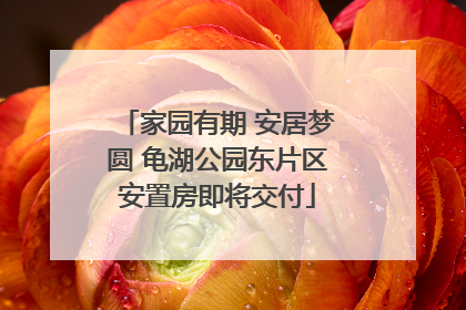 家园有期 安居梦圆 龟湖公园东片区安置房即将交付