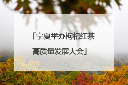 宁夏举办枸杞红茶高质量发展大会