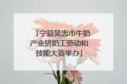 宁夏吴忠市牛奶产业挤奶工劳动和技能大赛举办