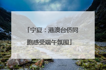 宁夏：港澳台侨同胞感受端午氛围