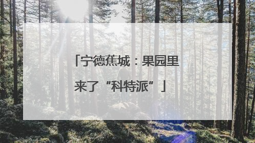 宁德蕉城：果园里来了“科特派”