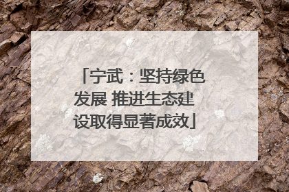 宁武：坚持绿色发展 推进生态建设取得显著成效