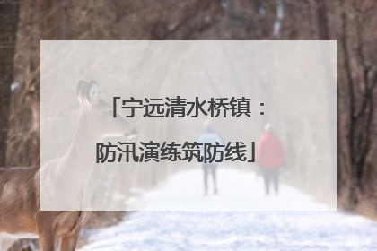 宁远清水桥镇：防汛演练筑防线