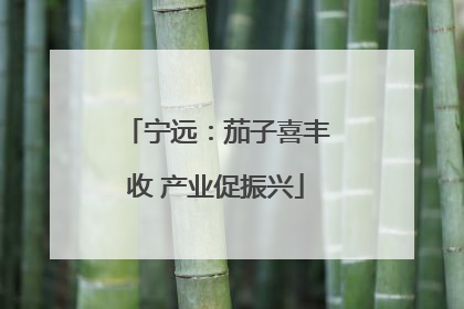 宁远：茄子喜丰收 产业促振兴