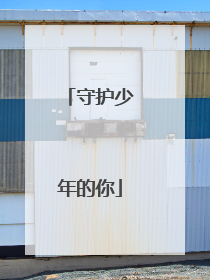 守护少年的你