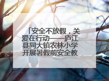 安全不放假，关爱在行动——庐江县同大镇农林小学开展暑假前安全教育大家访