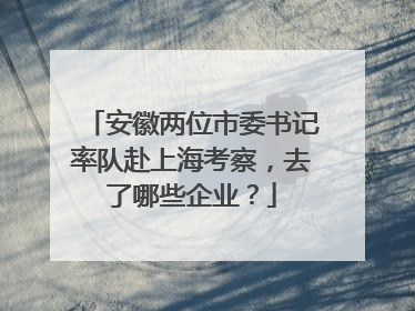 安徽两位市委书记率队赴上海考察，去了哪些企业？