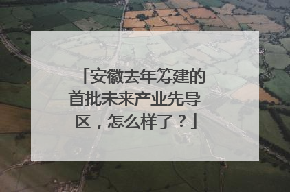 安徽去年筹建的首批未来产业先导区，怎么样了？