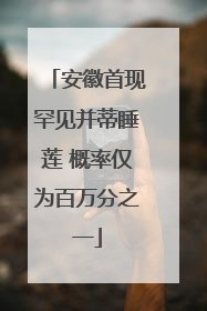 安徽首现罕见并蒂睡莲 概率仅为百万分之一