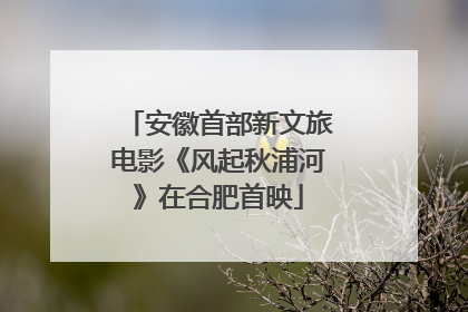 安徽首部新文旅电影《风起秋浦河》在合肥首映