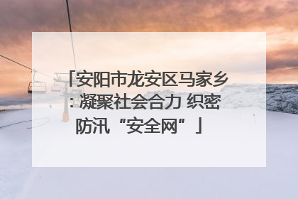 安阳市龙安区马家乡：凝聚社会合力 织密防汛“安全网”