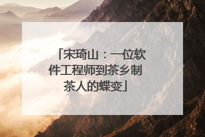 宋琦山：一位软件工程师到茶乡制茶人的蝶变