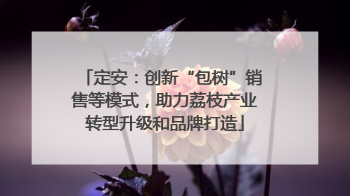 定安：创新“包树”销售等模式，助力荔枝产业转型升级和品牌打造