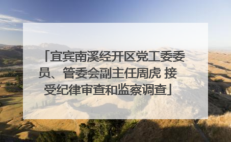 宜宾南溪经开区党工委委员、管委会副主任周虎 接受纪律审查和监察调查