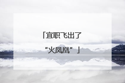 宜职飞出了“火凤凰”