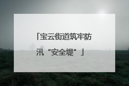 宝云街道筑牢防汛“安全堤”
