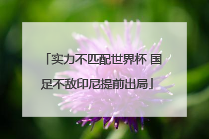 实力不匹配世界杯 国足不敌印尼提前出局