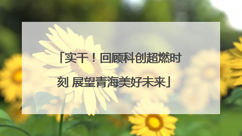 实干！回顾科创超燃时刻 展望青海美好未来