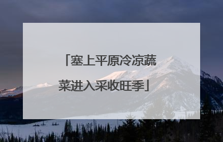 塞上平原冷凉蔬菜进入采收旺季