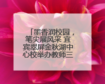 墨香润校园，笔尖展风采 宜宾翠屏金秋湖中心校举办教师三笔字比赛