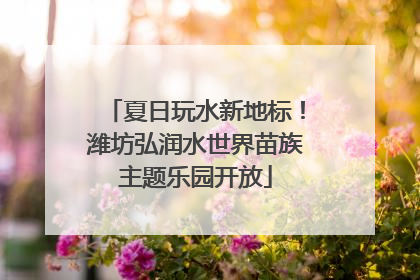 夏日玩水新地标！潍坊弘润水世界苗族主题乐园开放