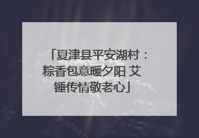 夏津县平安湖村：粽香包意暖夕阳 艾锤传情敬老心