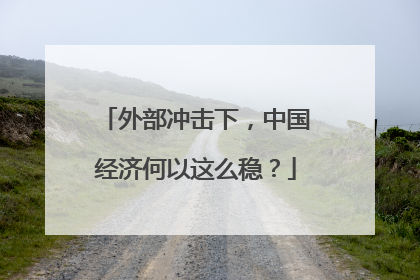 外部冲击下，中国经济何以这么稳？