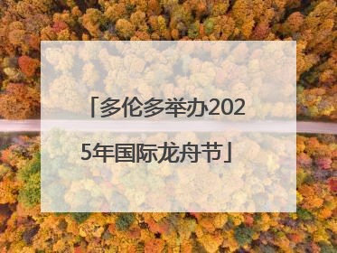 多伦多举办2025年国际龙舟节